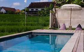 Backyard Canggu